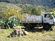 Swing Tree Service Truck and Chipper